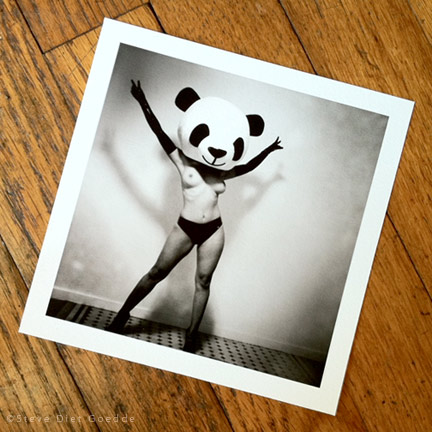 steve diet goedde panda print